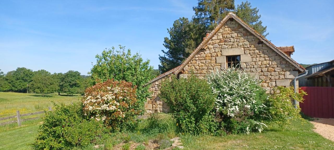 Domaine De Reniere Villa Buxieres-les-Mines Exterior photo
